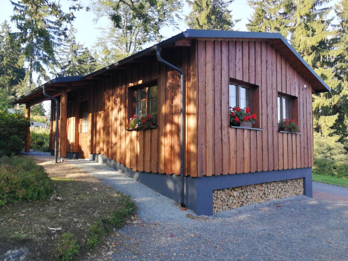 库罗阿尔滕堡Haus Waldfrieden公寓 外观 照片